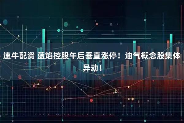 速牛配资 蓝焰控股午后垂直涨停！油气概念股集体异动！