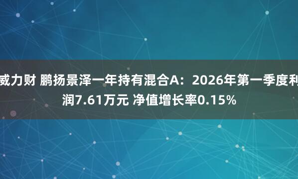 威力财 鹏扬景泽一年持有混合A：2026年第一季度利润7.61万元 净值增长率0.15%