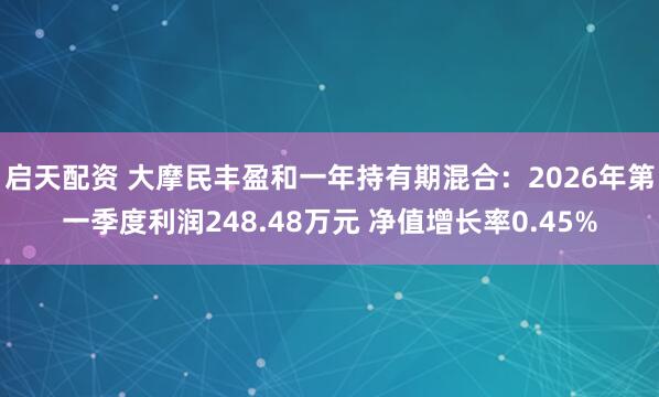 启天配资 大摩民丰盈和一年持有期混合：2026年第一季度利润248.48万元 净值增长率0.45%